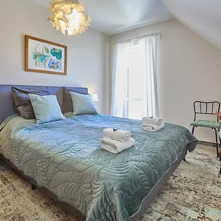 Avila ニエホジェ