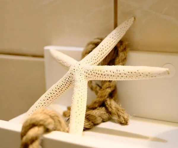 Avila Проживание в семье