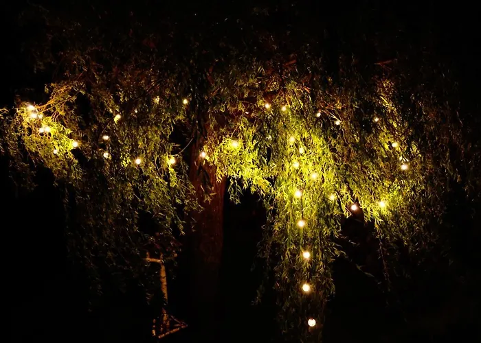 Avila Проживание в семье Нехоже