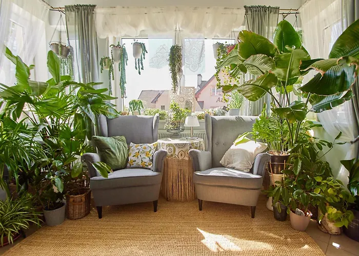 Проживание в семье Avila