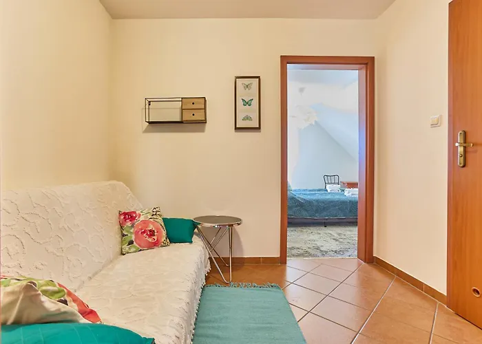 Avila Проживание в семье