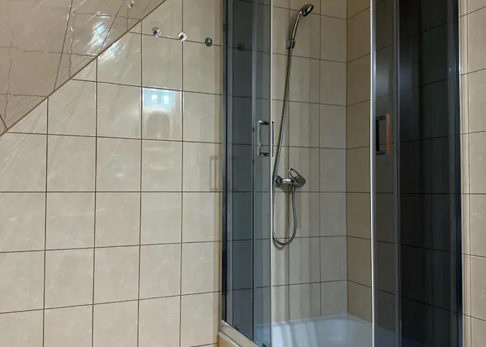 Проживание в семье Avila